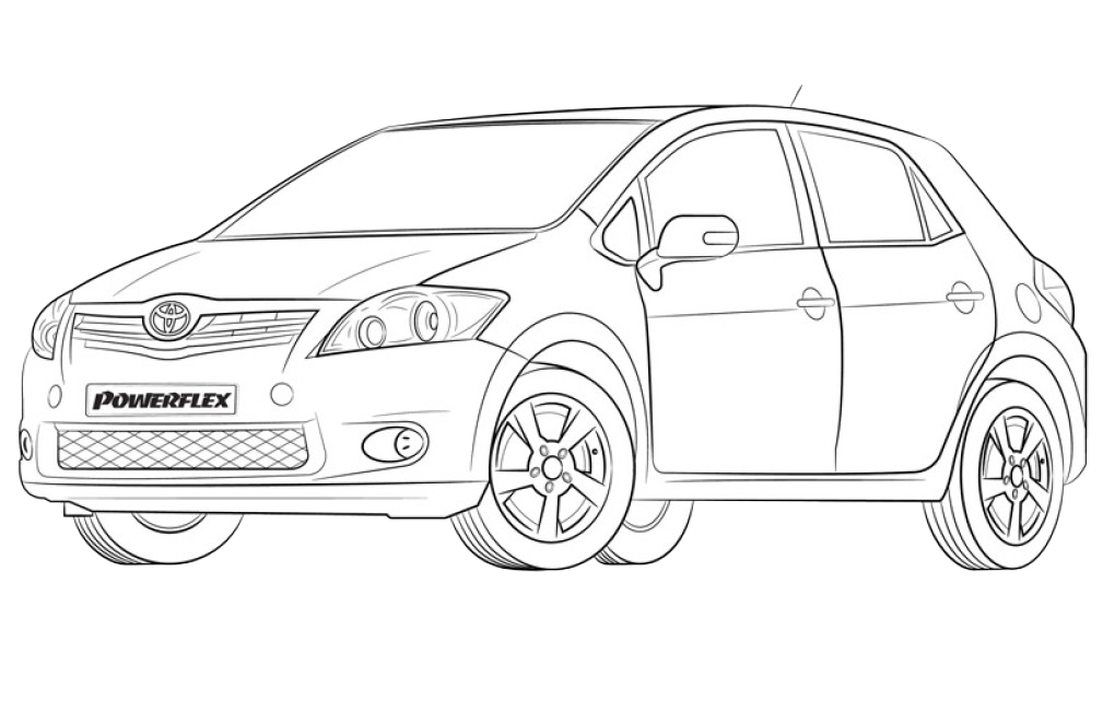 Auris