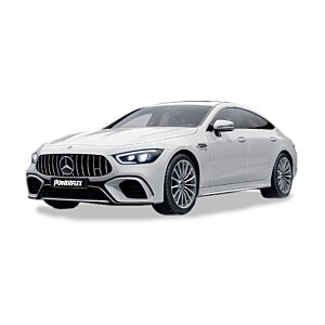 AMG GT X290 (2018 on)