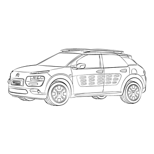 C4 Cactus (2014 - ON)