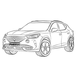 Formentor 4WD (2020 on)